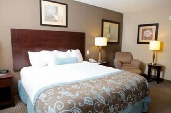 Best Western Plus St. Louis West - Chesterfield image 11